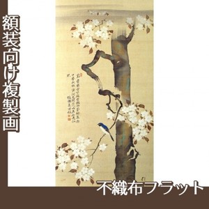 酒井抱一「桜に小禽図」【複製画:不織布フラット100g】