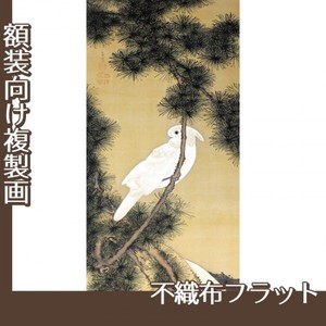 伊藤若冲「松に鸚鵡図2」【複製画:不織布フラット100g】