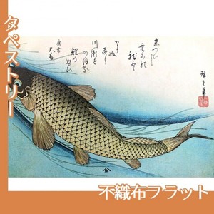 歌川広重「魚づくし　鯉」【タペストリー:不織布フラット】