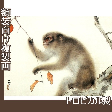橋本関雪「猿」【複製画:トロピカル】