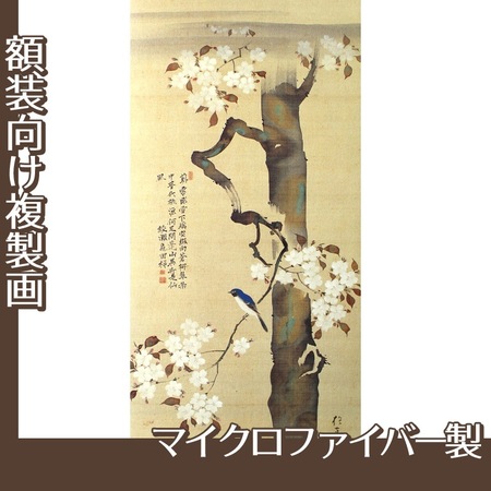 酒井抱一「桜に小禽図」【複製画:マイクロファイバー】