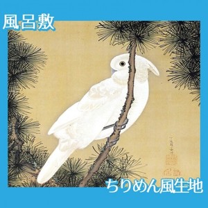伊藤若冲「松に鸚鵡図2」【風呂敷】