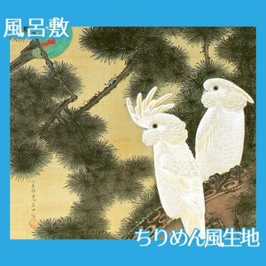 伊藤若冲「老松鸚鵡図」【風呂敷】