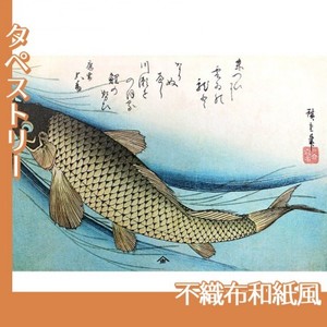 歌川広重「魚づくし　鯉」【タペストリー:不織布和紙風】