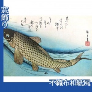 歌川広重「魚づくし　鯉」【窓飾り:不織布和紙風】