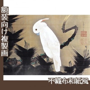 伊藤若冲「松に鸚鵡図1」【複製画:不織布和紙風】