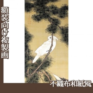 伊藤若冲「松に鸚鵡図2」【複製画:不織布和紙風】