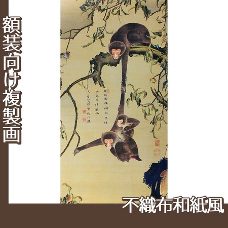 伊藤若冲「猿猴摘桃図」【複製画:不織布和紙風】