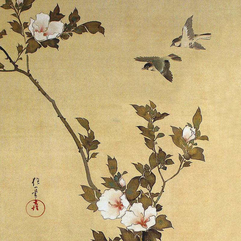 十二ヶ月花鳥図(七月木槿に頬白)