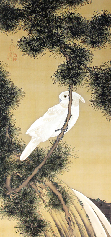 松に鸚鵡図2